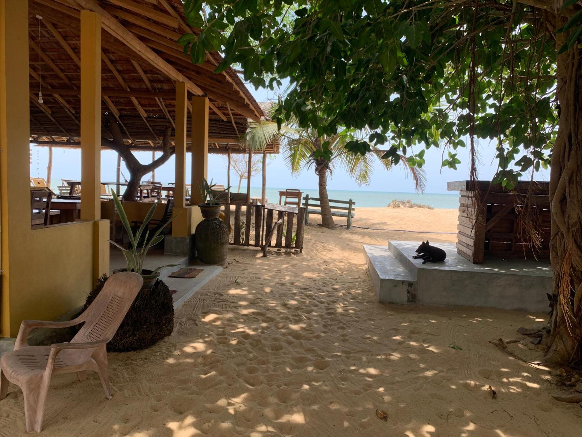 Ocean View Beach Resort - Kalpitiya Exterior foto